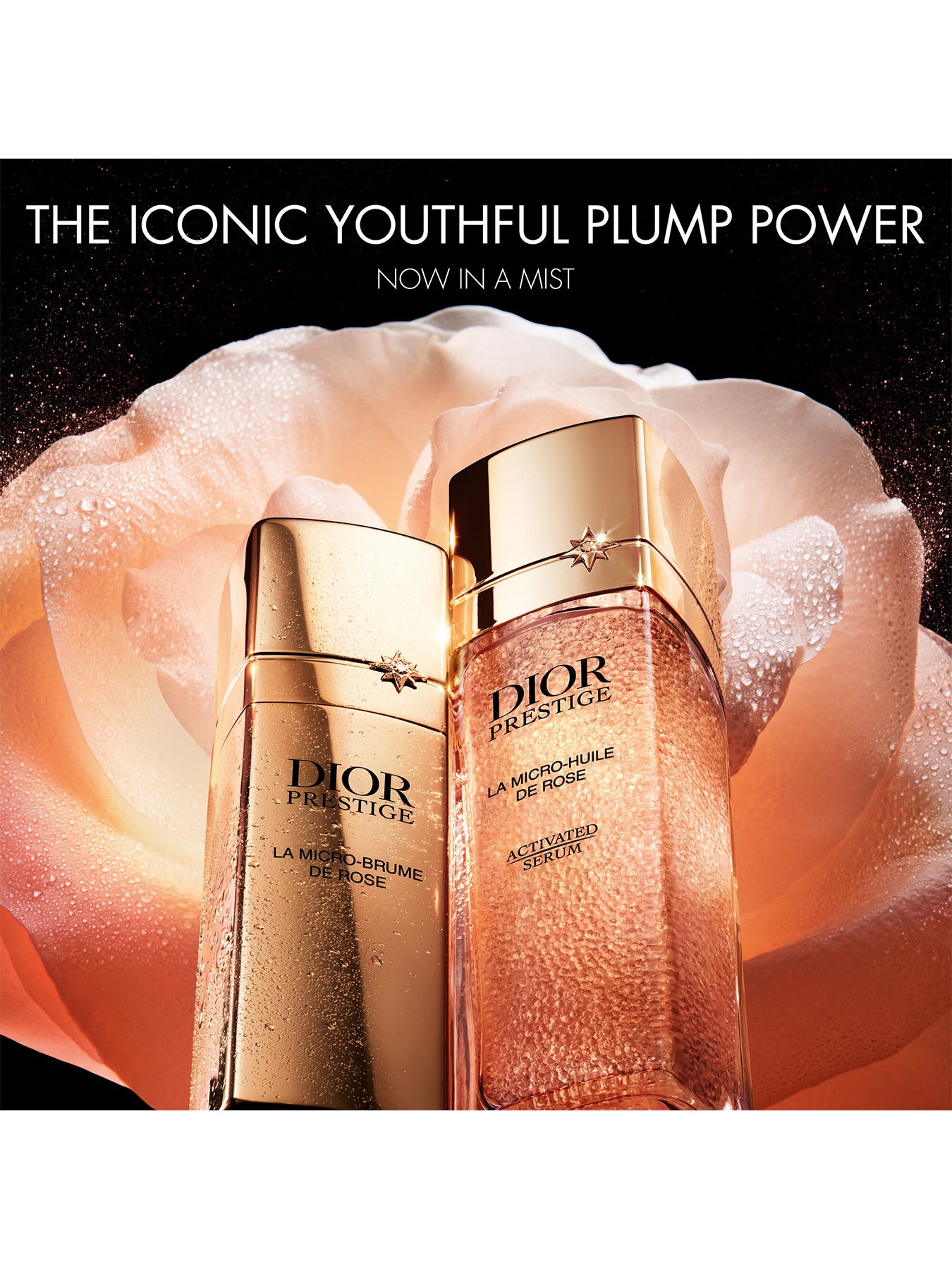 Prest Micro-Brume De Rose 3 x 25ml