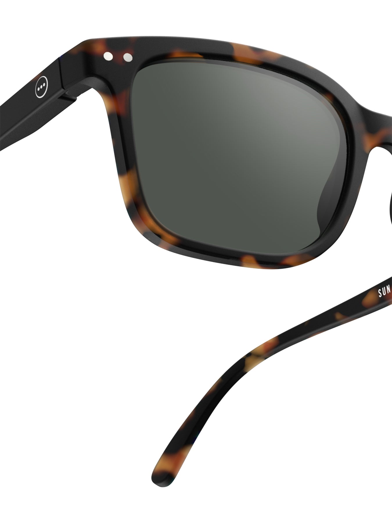 #L Square Sunglasses Tortoise