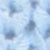 Cashmere Blue CD/Brick Red