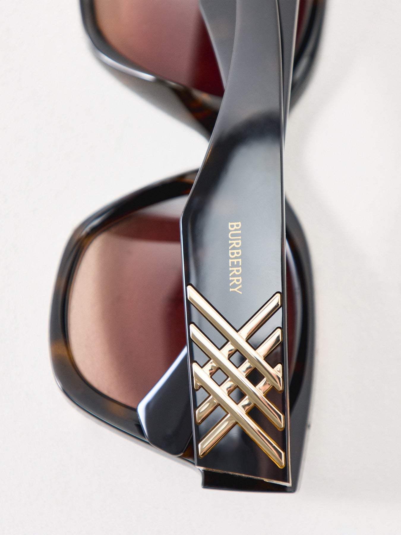 0BE4489U Oversized Sunglasses Brown
