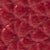 Rose/Cherry