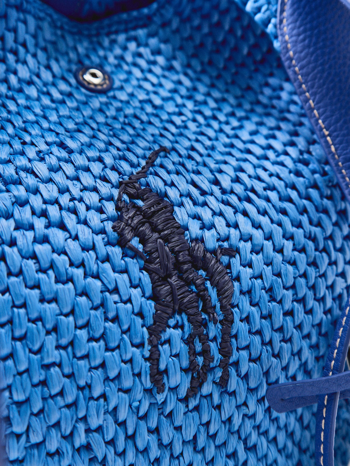Raffia And Leather Bucket Bag Blue