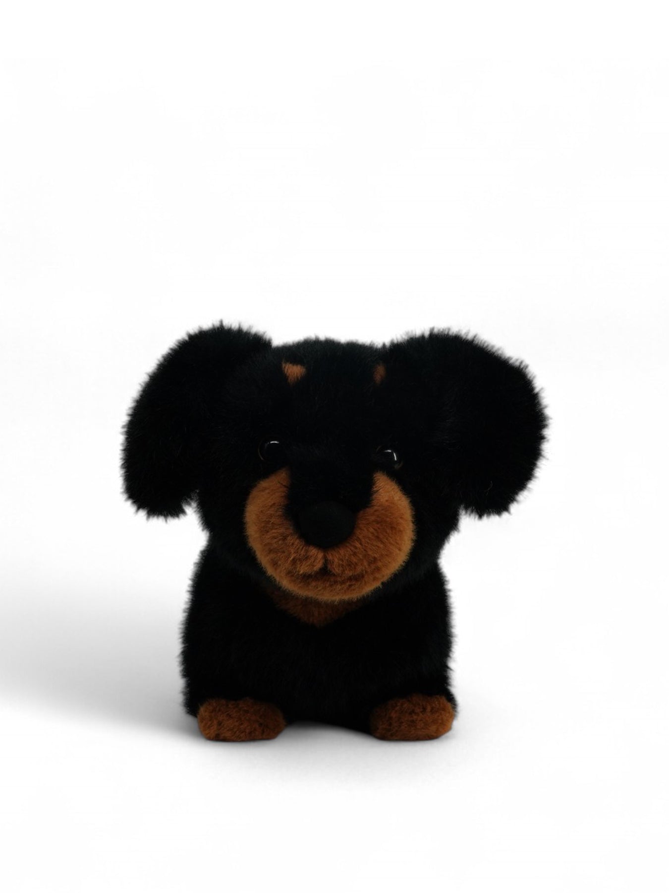 Dachshund Plush Black