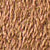 Dark Chestnut Cream