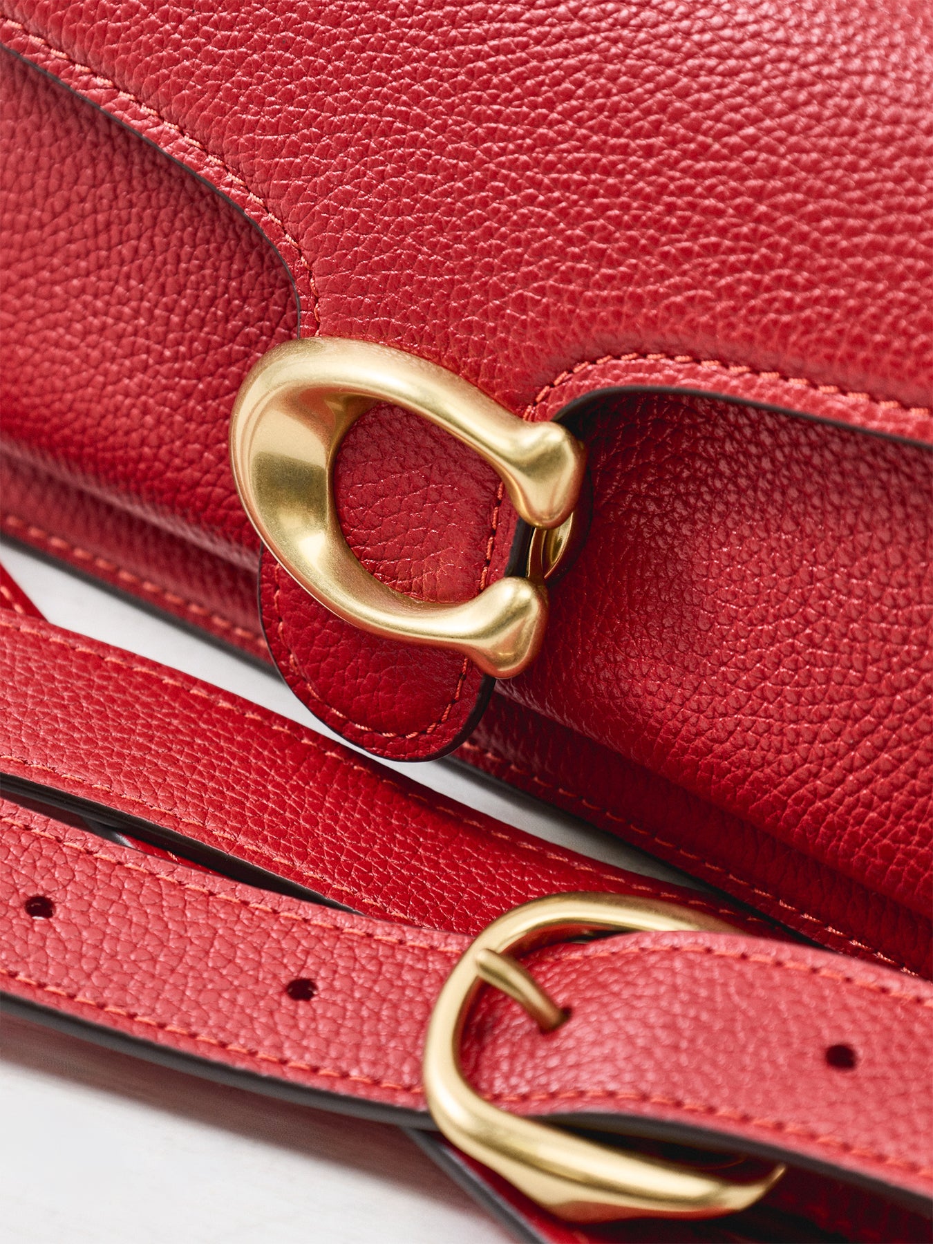 Polished Pebble Leather Tabby Shoulder Bag B4 Poppy