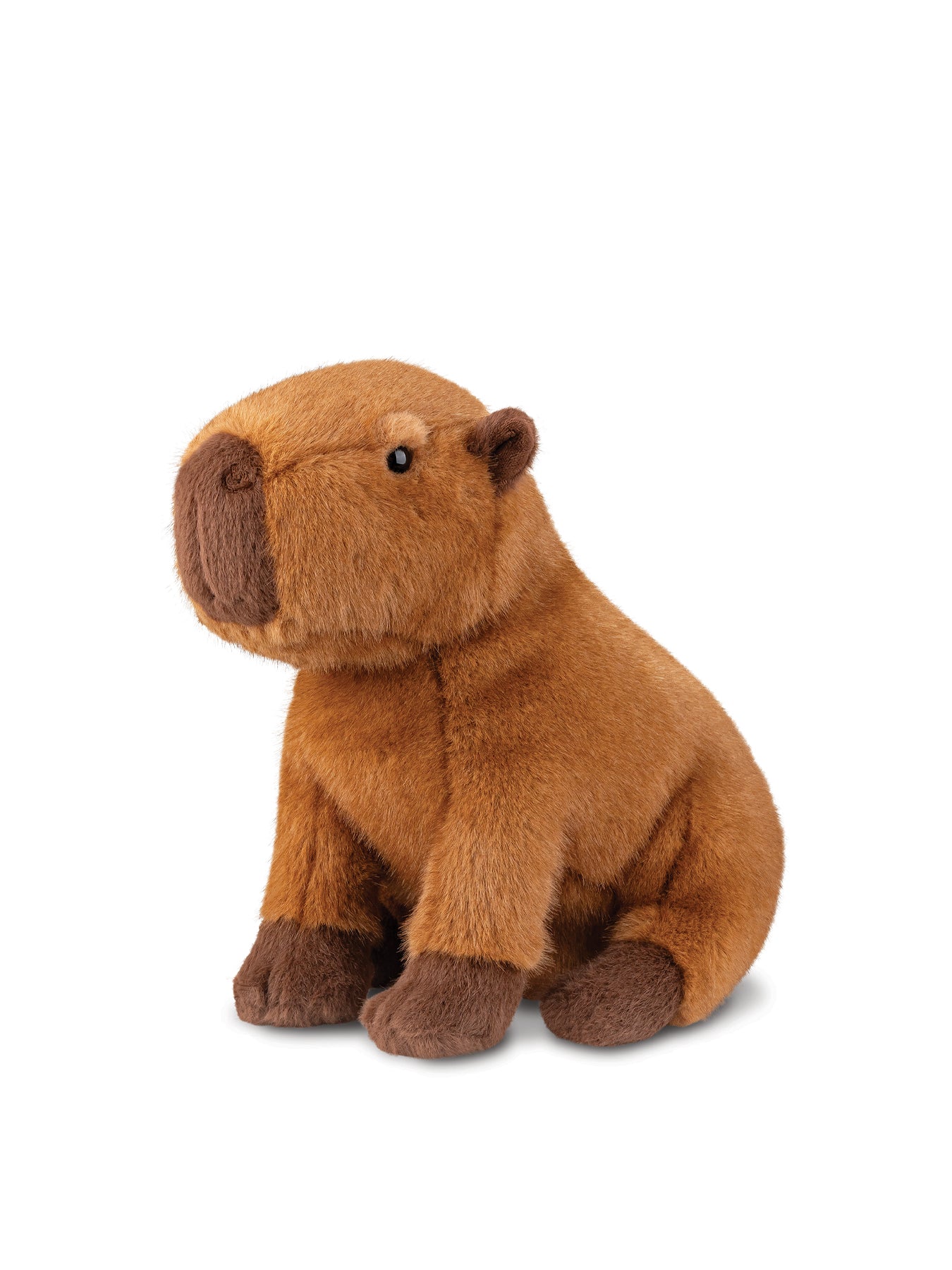 Borealis Ralph Capybara 11-Inch Soft Toy