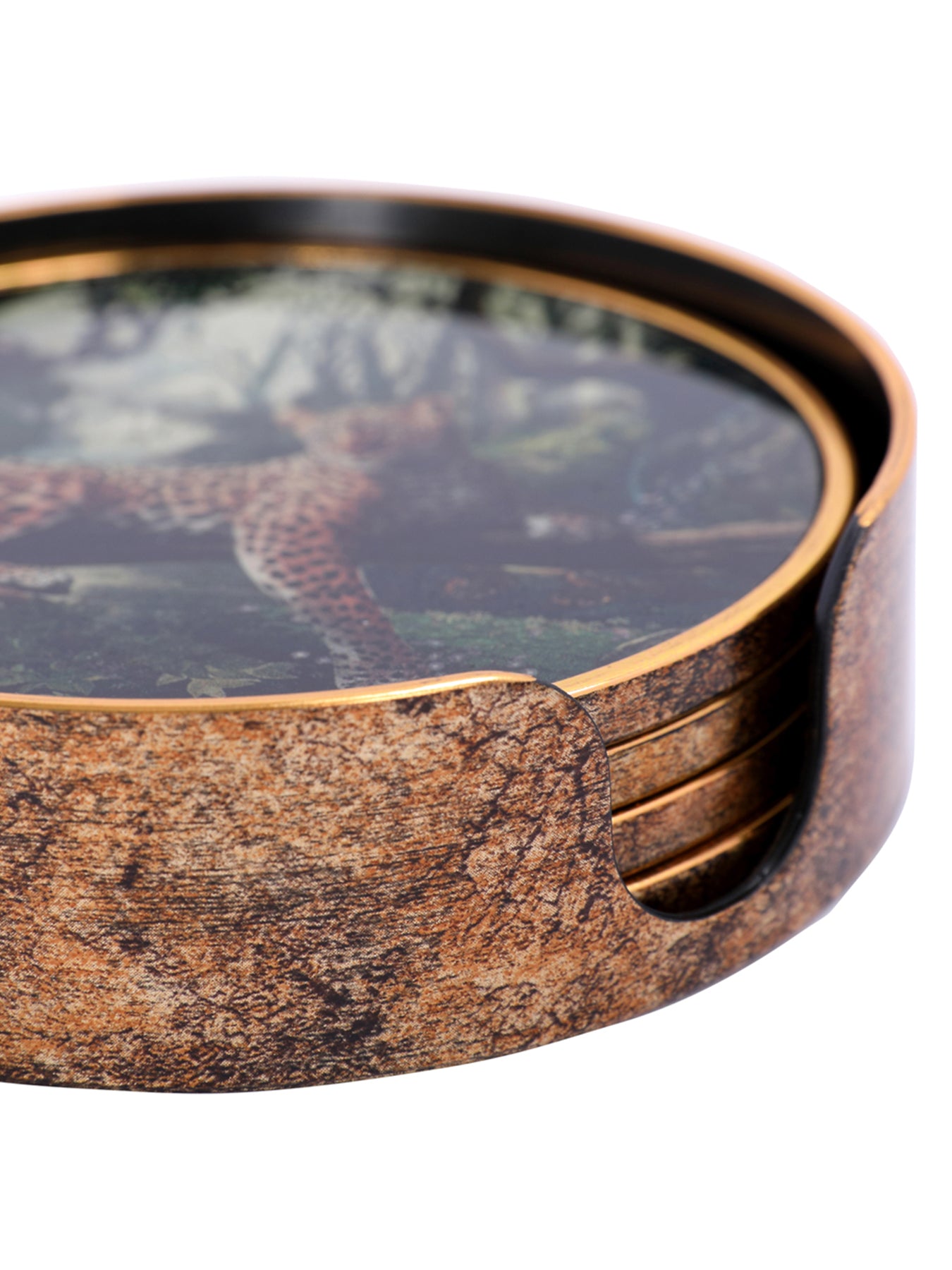 Lounging Leopard Set Coasters Gold