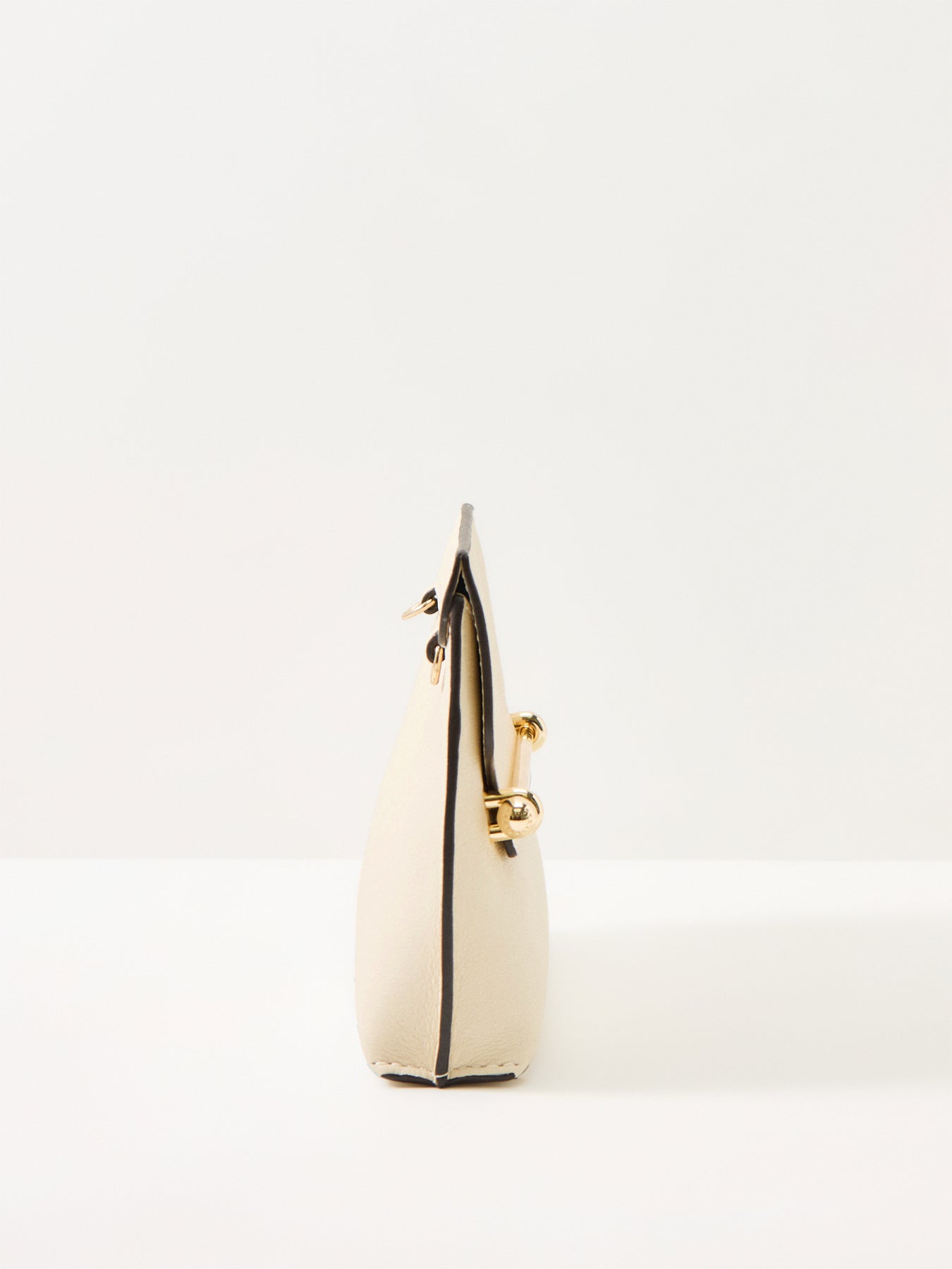 Mini Stylist Leather Clutch