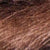 Print Brown