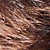 Print Brown