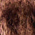 Print Brown