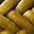 BAMBOO GREEN