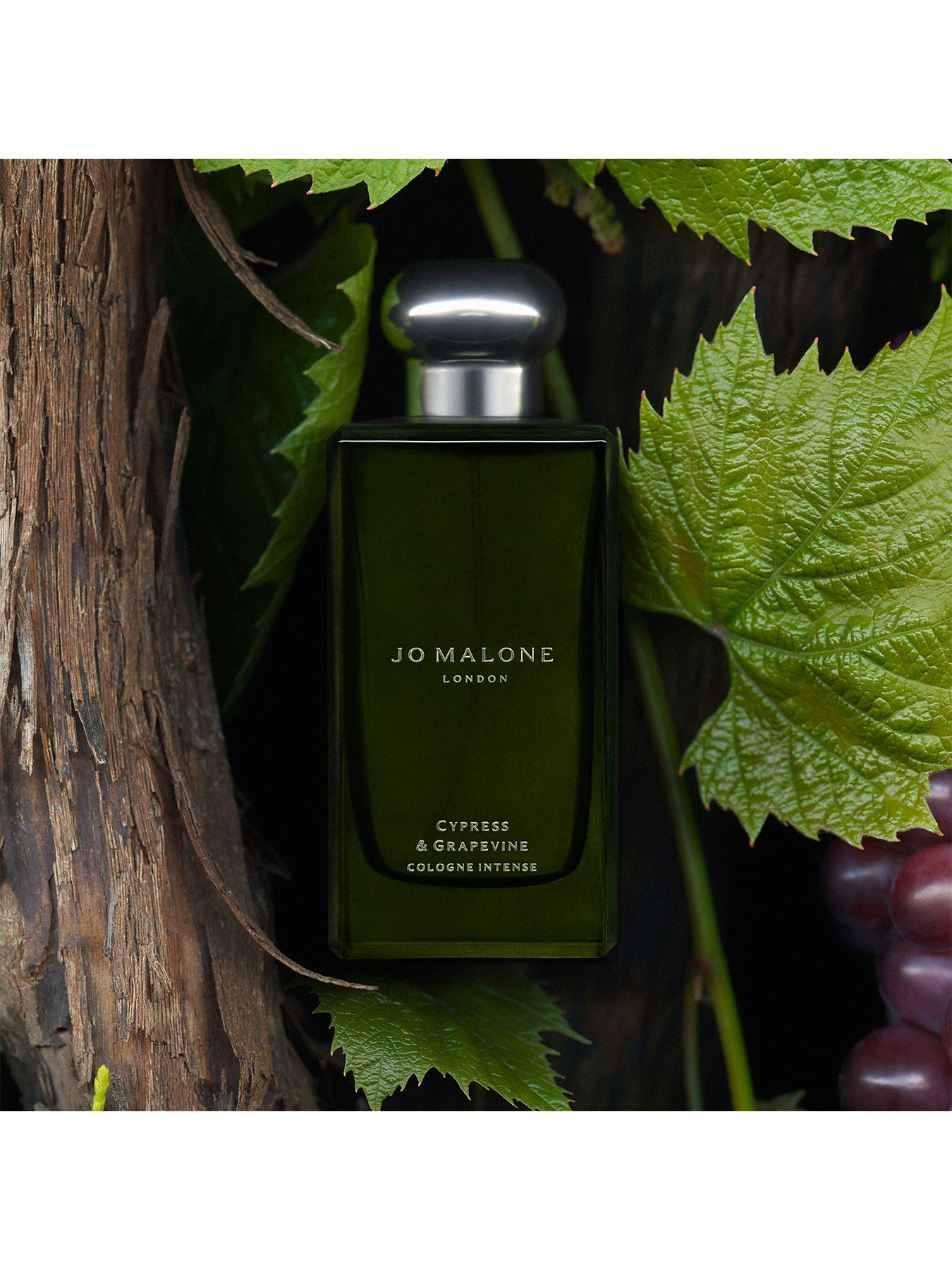 Cypress & Grapevine Cologne Intense 30ml – Fenwick