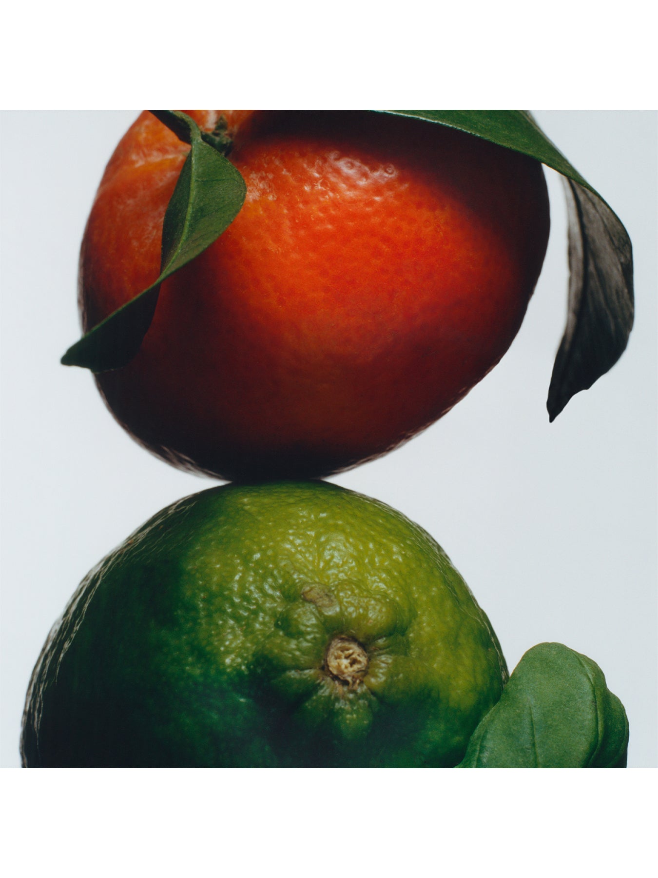 Lime Basil & Mandarin Car Diffuser Refill