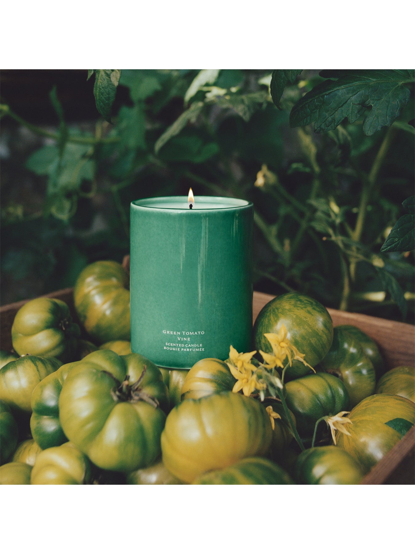 Green Tomato Vine Candle 300g Veggies Edition