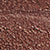 Bronzed Garnet