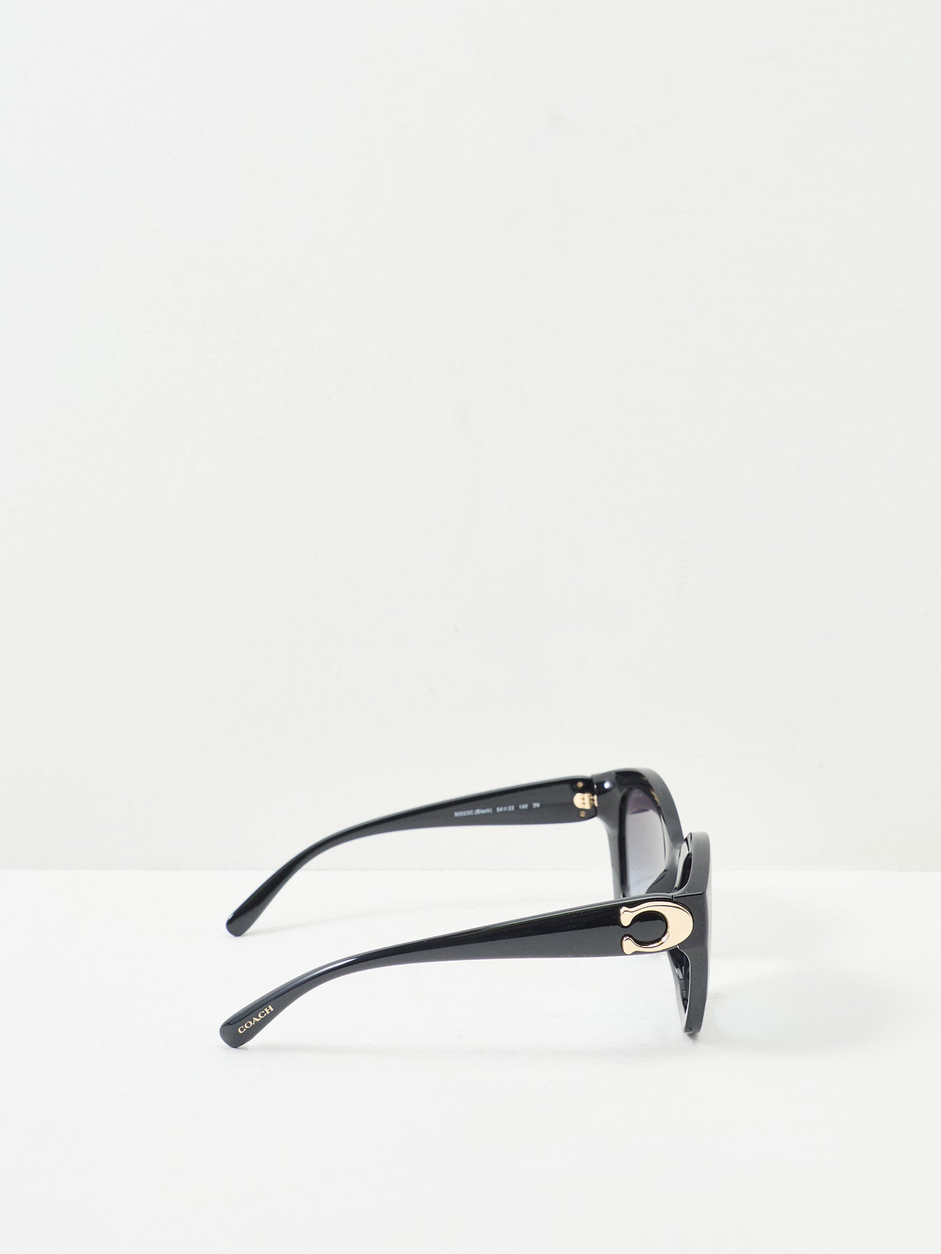 0HC8421U Cat Eye Sunglasses Black