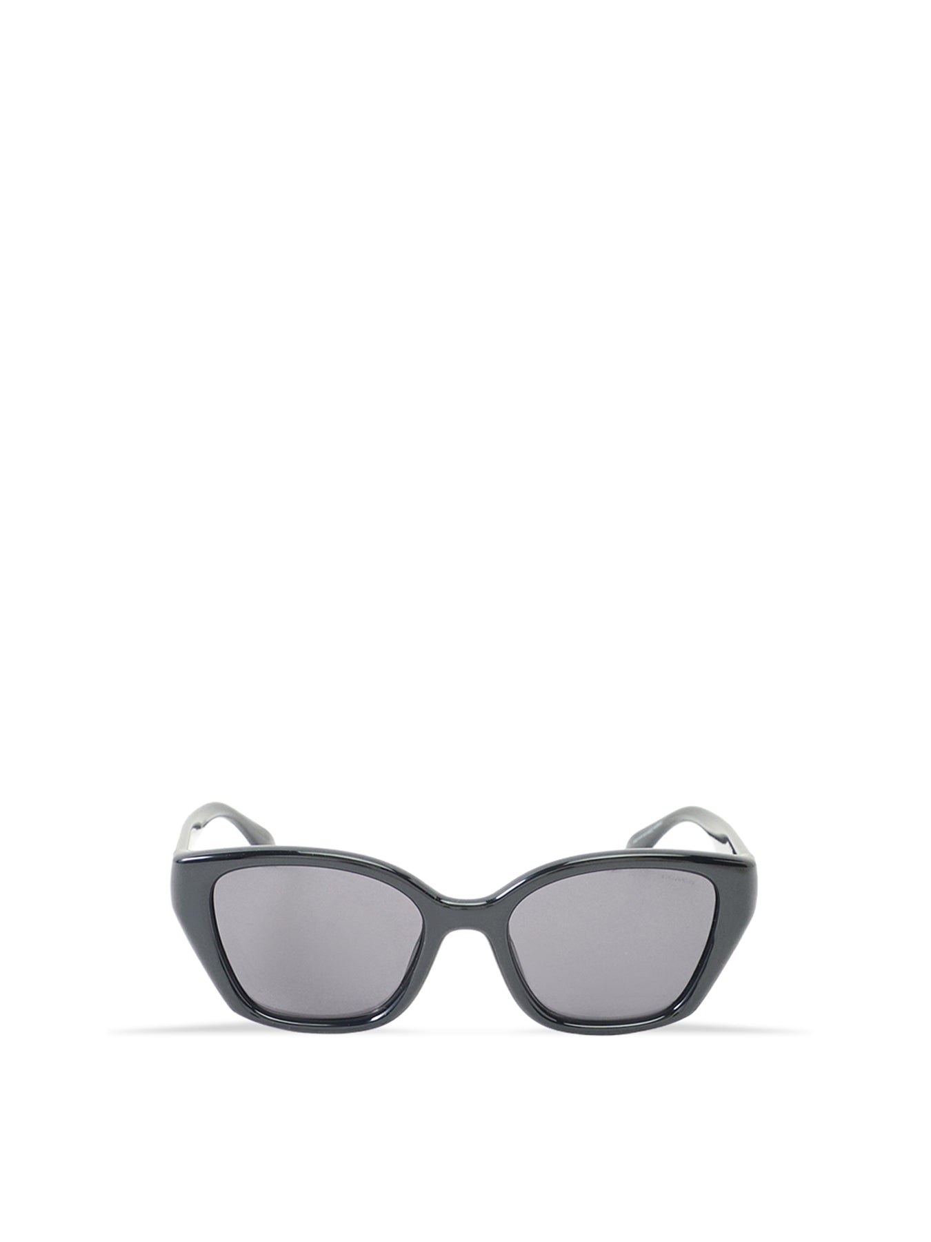 0HC8434U Cat Eye Sunglasses Black