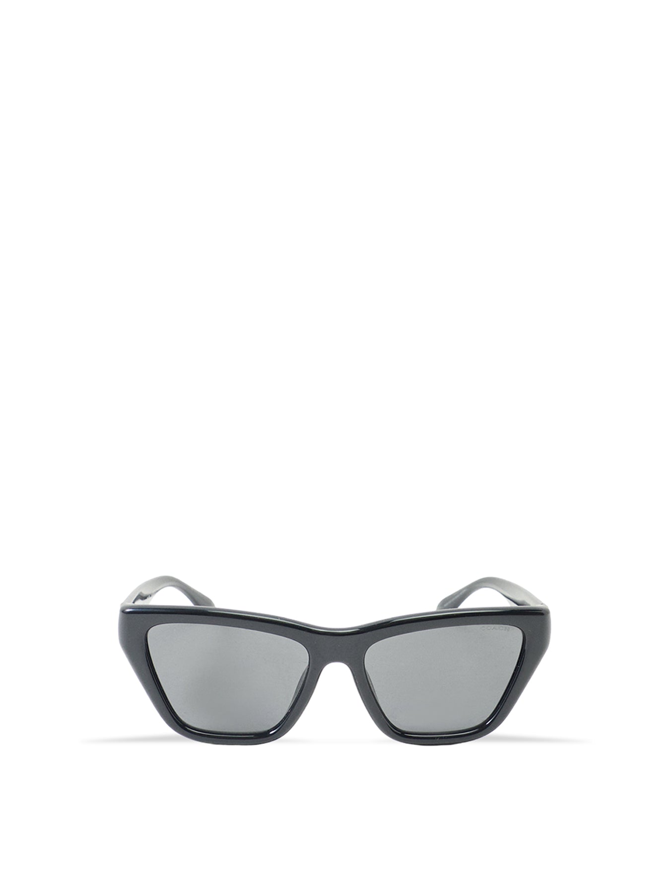 0HC8449U Cat Eye Sunglasses Black