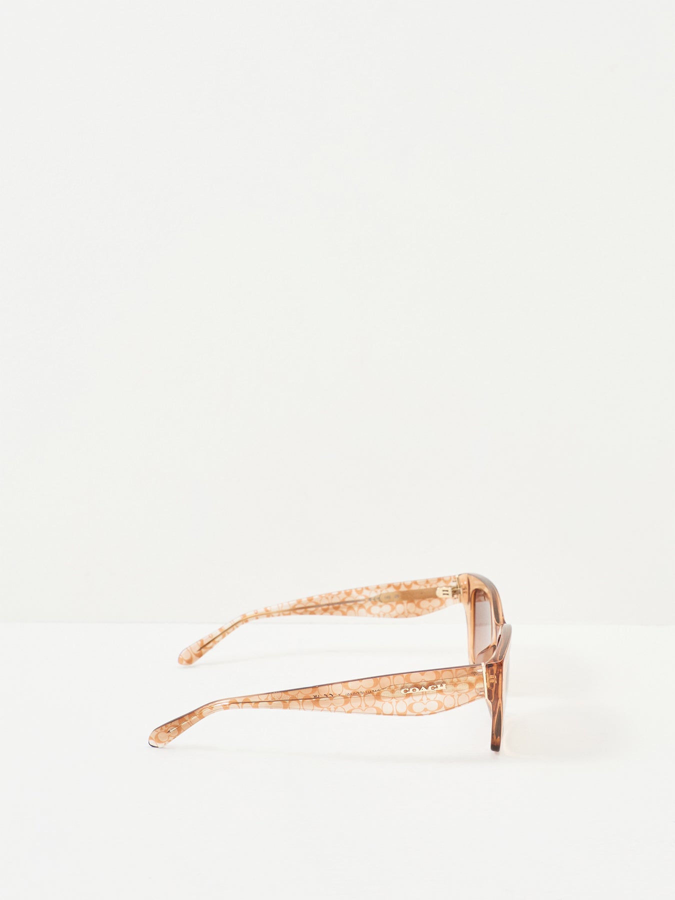 Rectangle Sunglasses Transparent Brown
