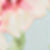 Capella Floral