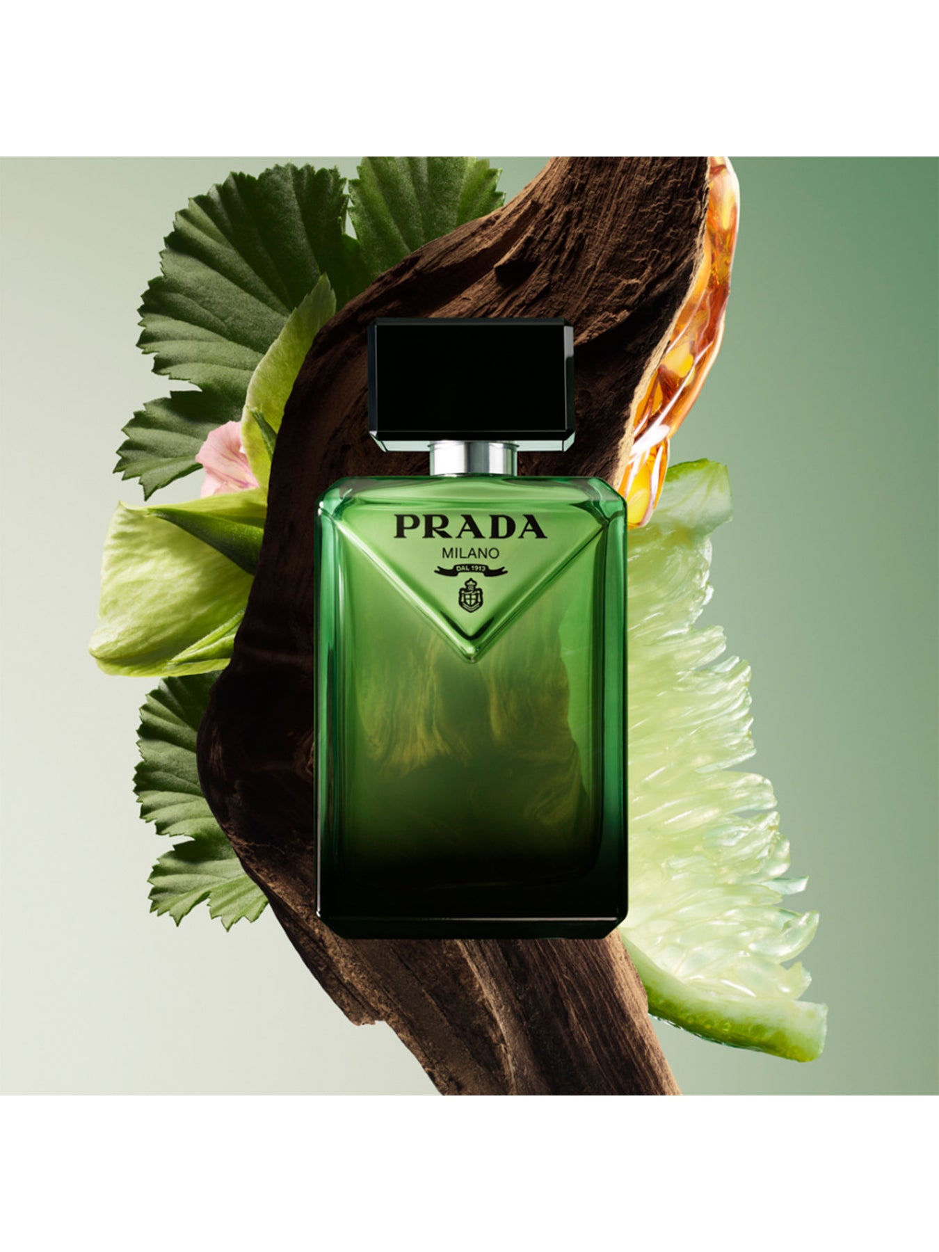 Paradigme Eau De Parfum Gift Set
