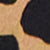 Lucia Leopard