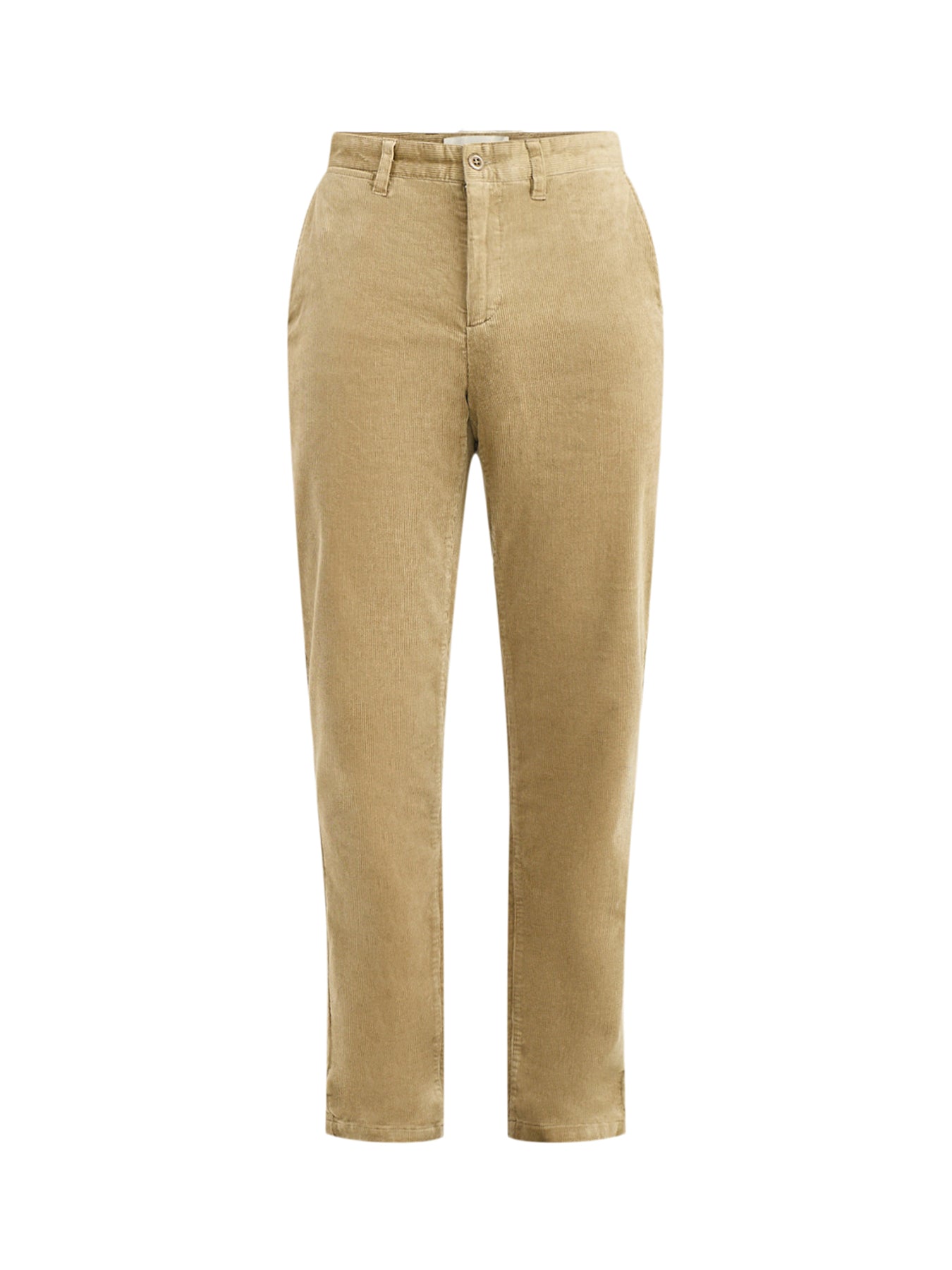 Regular Fit Cotton Corduroy Chinos