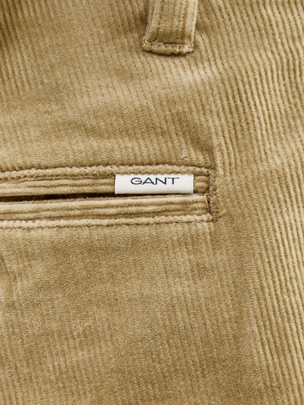 Regular Fit Cotton Corduroy Chinos