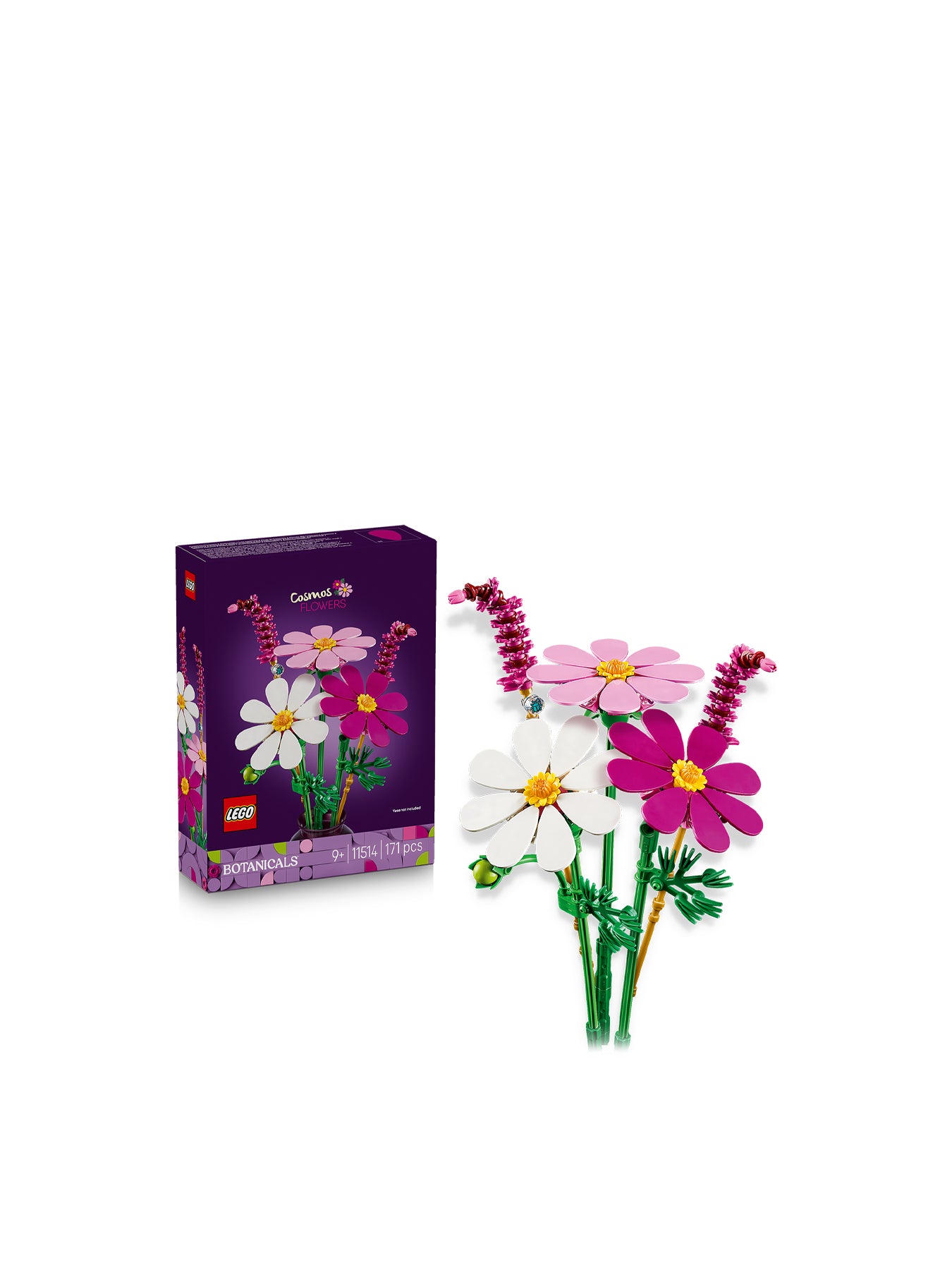 Cosmos Flowers 11514