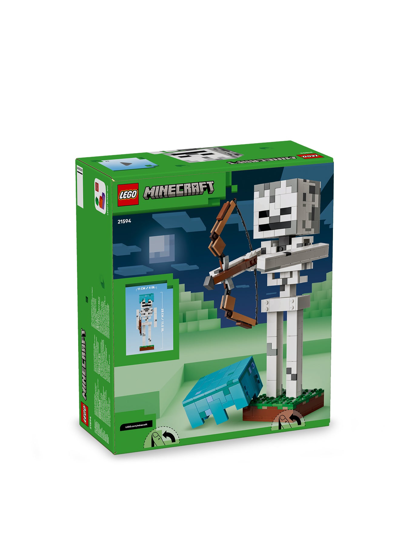 The Skeleton 21594