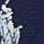 Cruise Navy Aopp