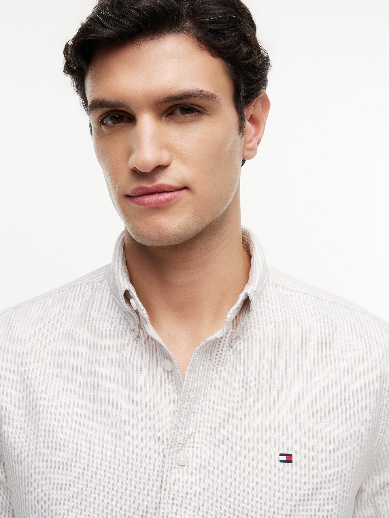 Regular Fit Stripe Oxford Shirt