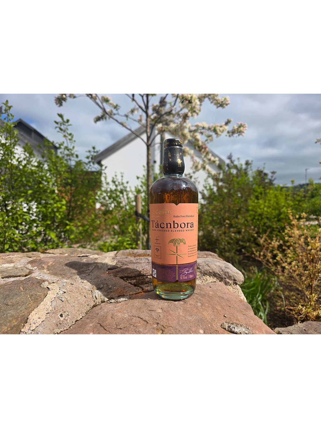 Tacnbora Ruby Port