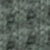Castor Gray