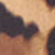 Print