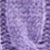 Light Coronet Purple Heather