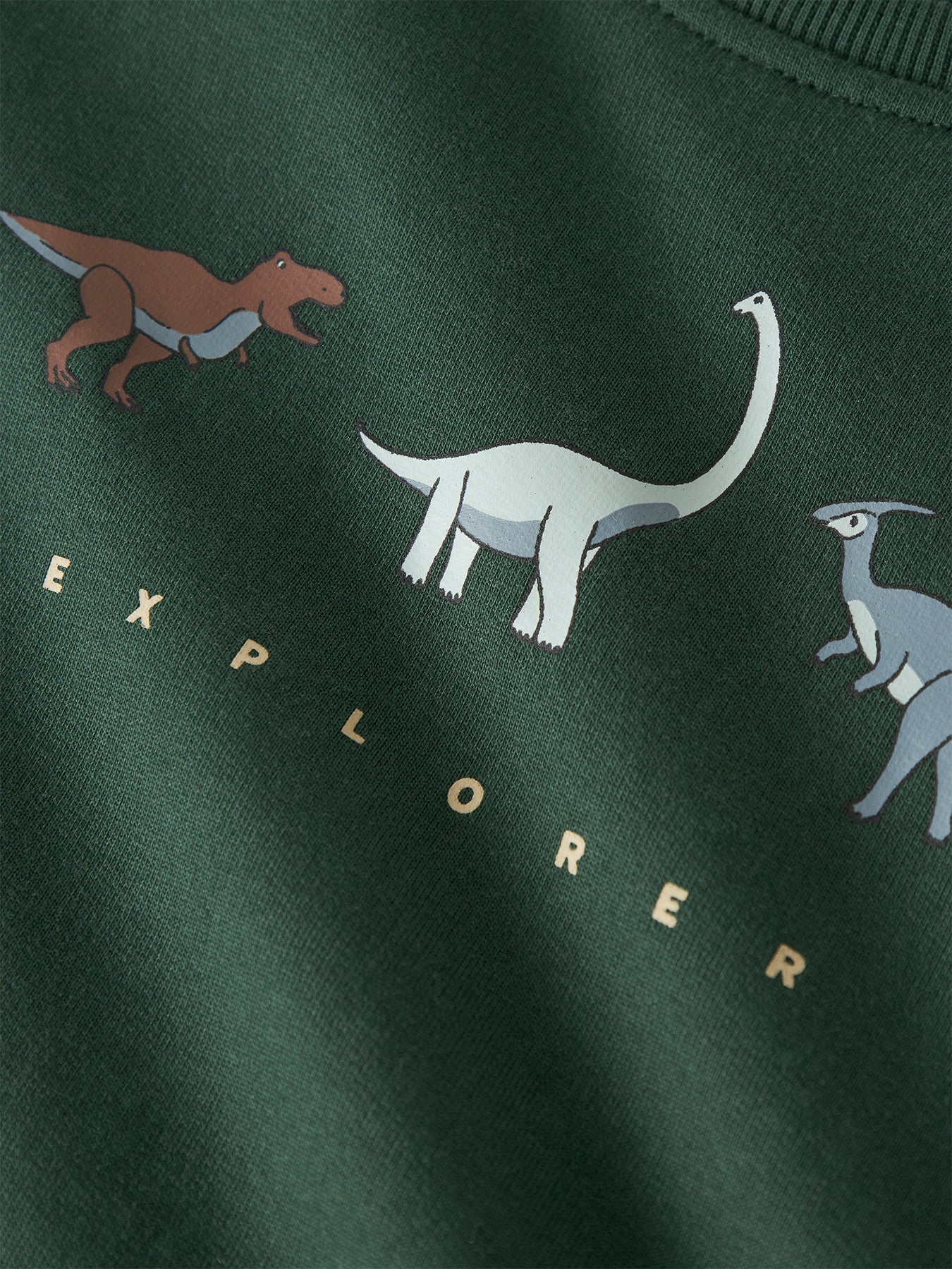 Organic Cotton Sweatshirt