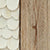 Cream; Neutral