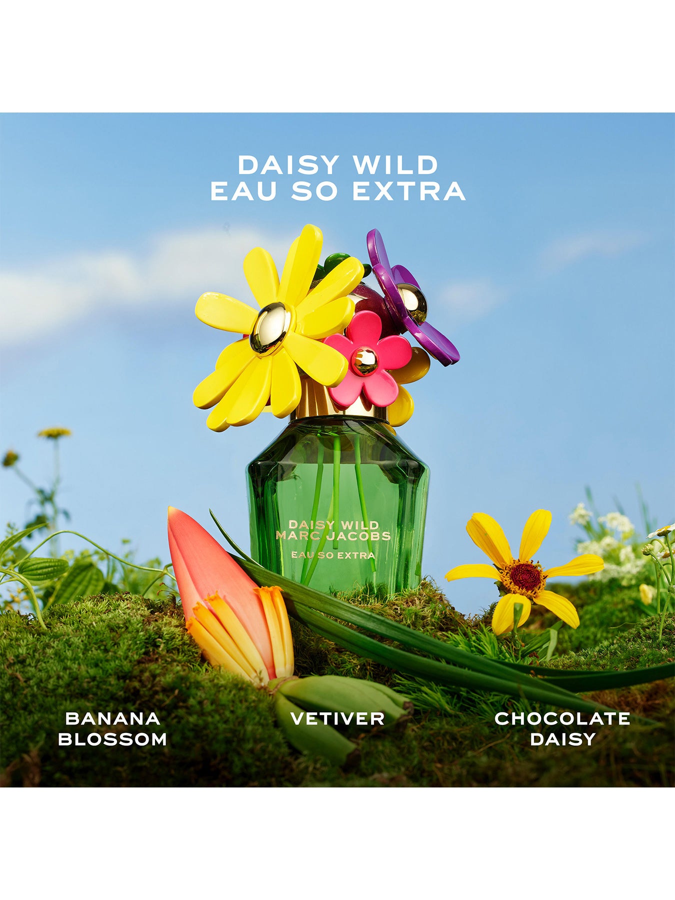 Daisy Wild Eau So Extra Eau de Parfum 50ml