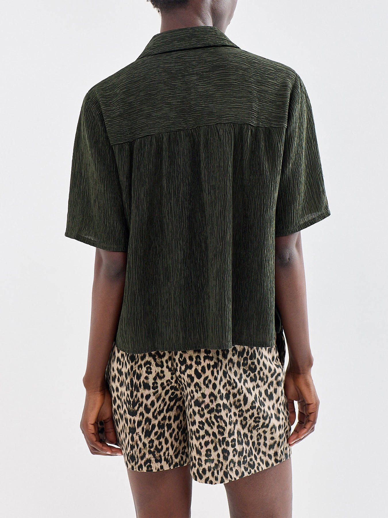 Notch Collar Elbow Sleeve Shirt Green