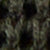 Seaweed