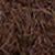 Coffee Bean Melange