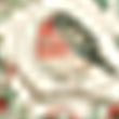 Multi