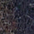 Night Sky HARLEQUIN