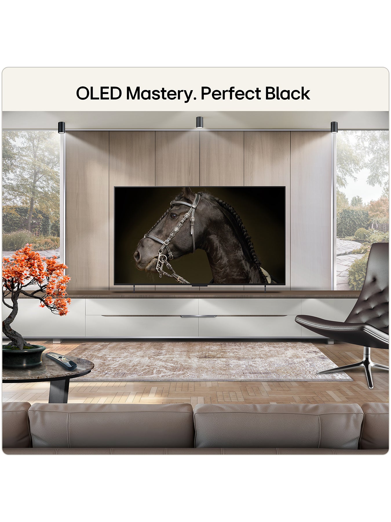 C66 42 Inch 4K OLED Evo AI Smart TV 2026