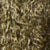 Dk Olive