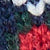 Navy/Evergreen