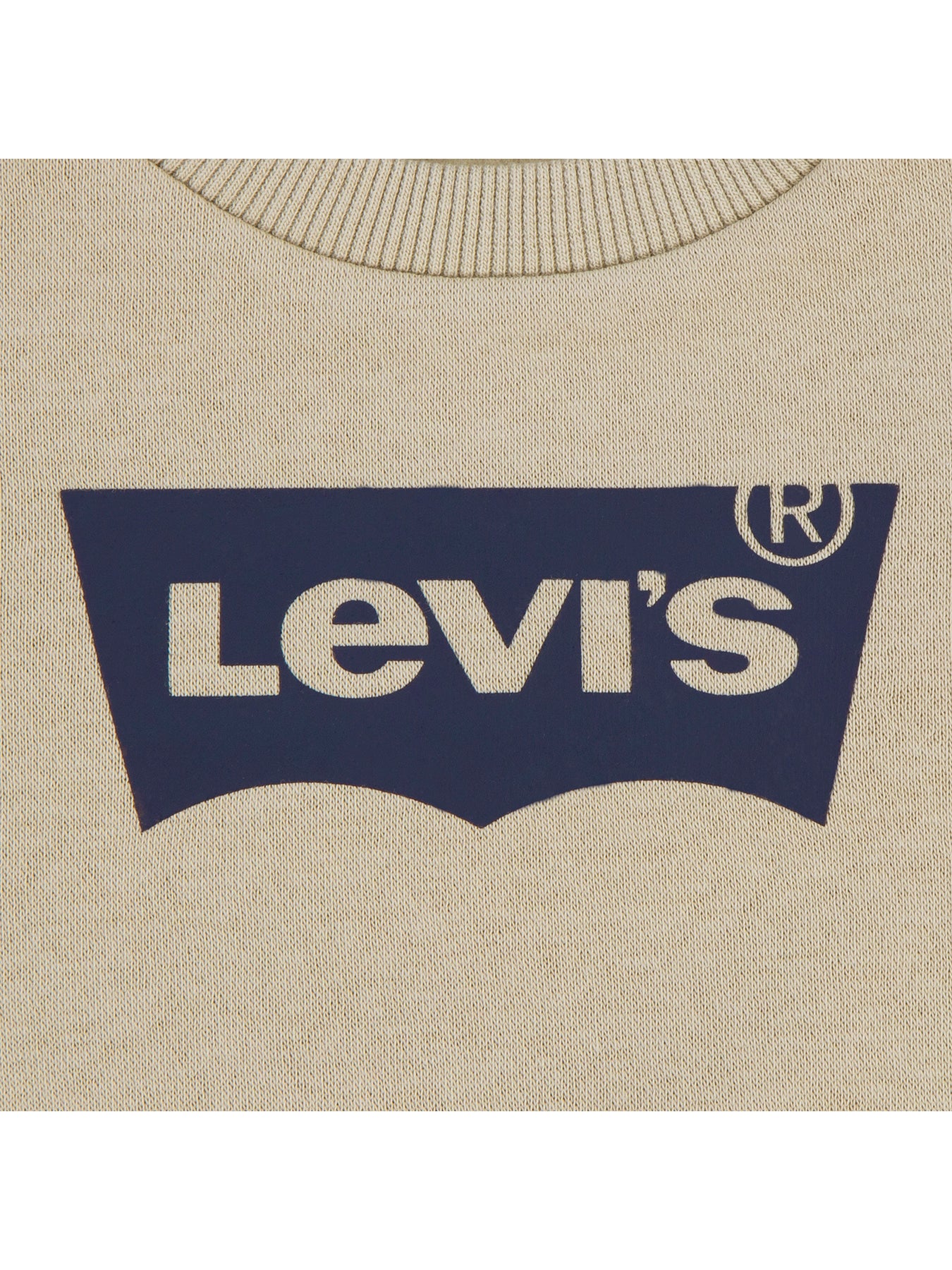 Baby Levi's Batwing Crew Sweatshirt Tan