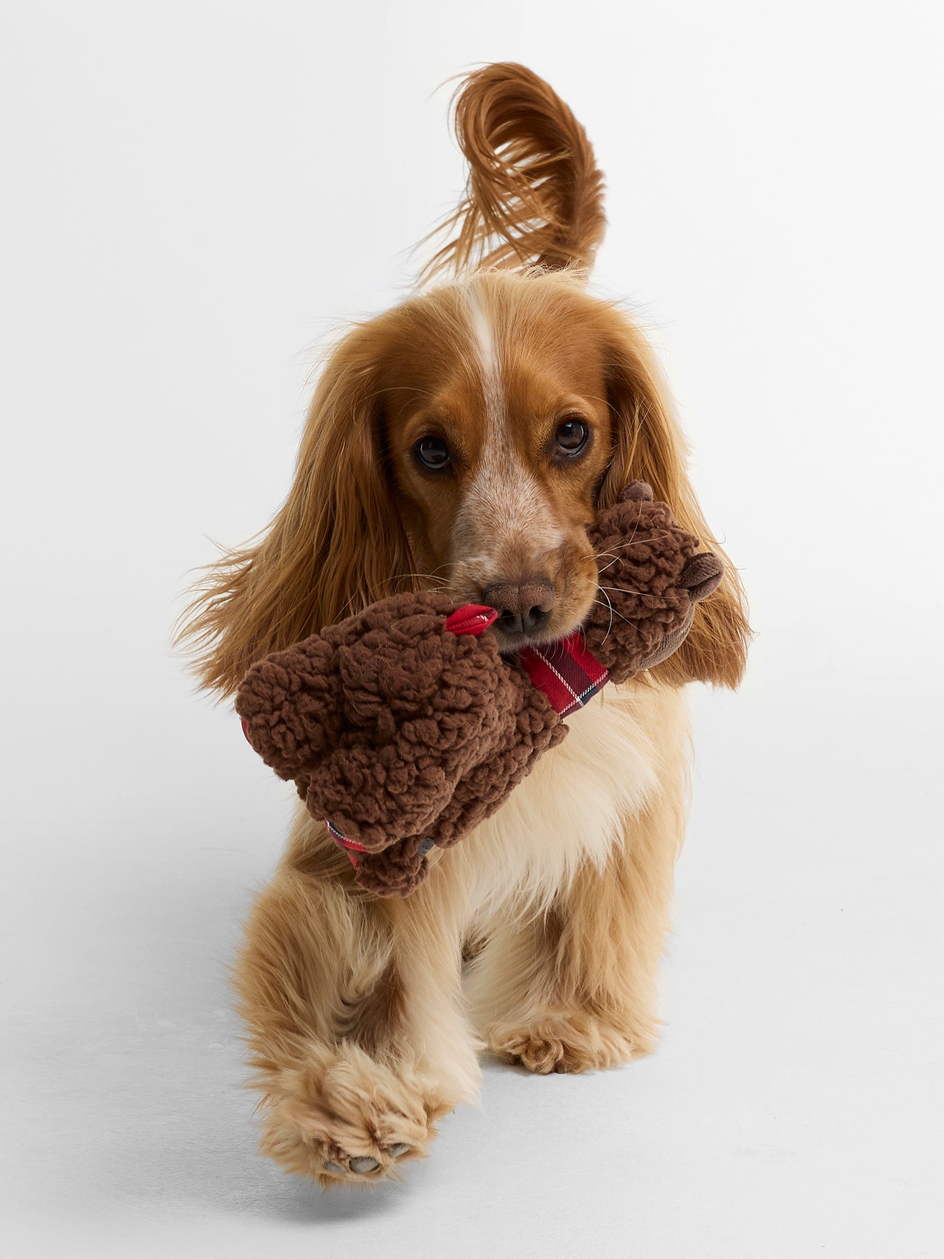Llama Dog Toy